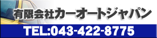 有限会社カーオートジャパン